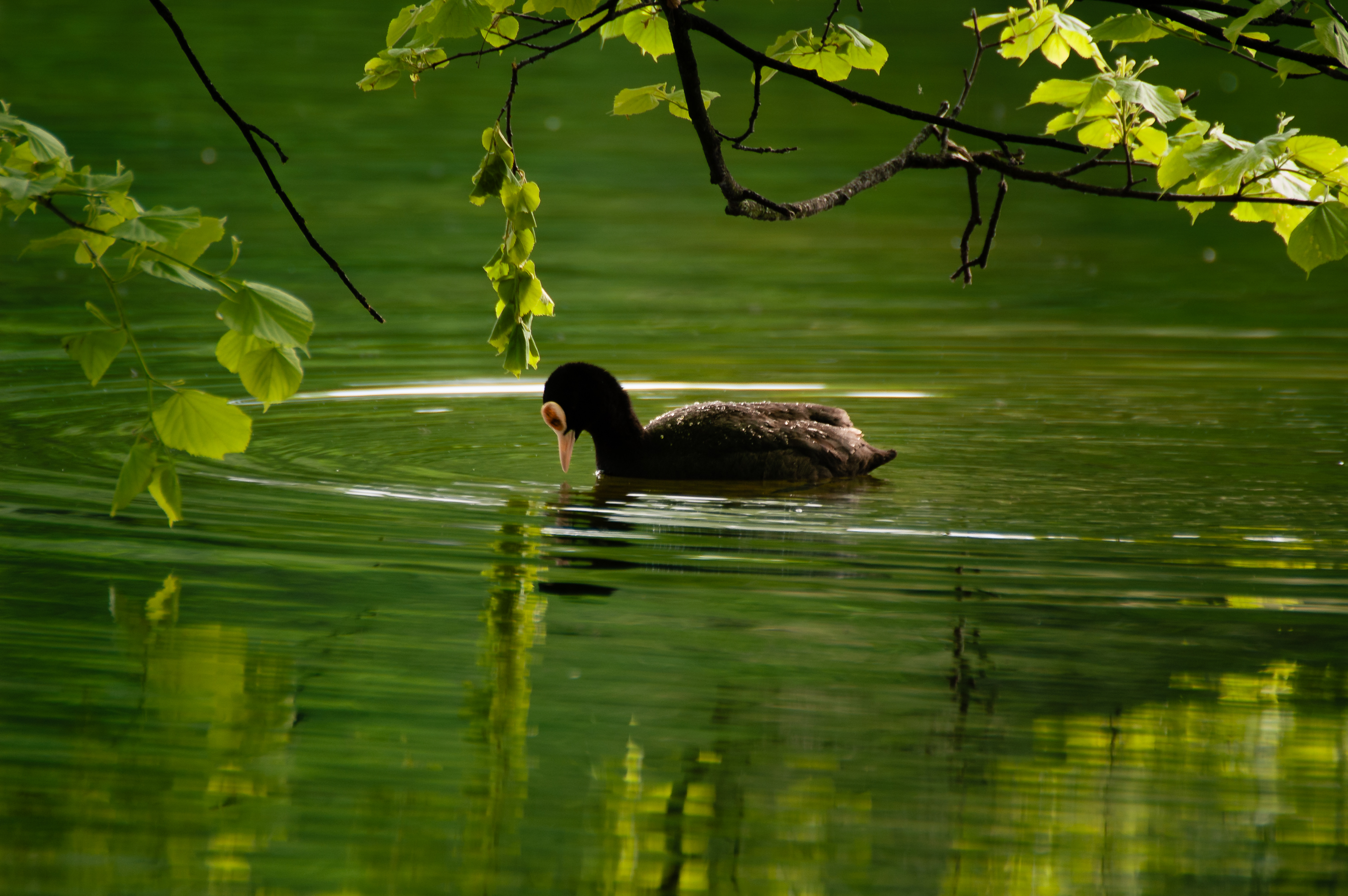 VHS Nymphenburg - 02173